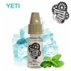MECANIQUE DES FLUIDES YETI 10 ML