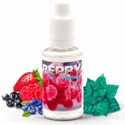 concentre berry menthol vampire vape